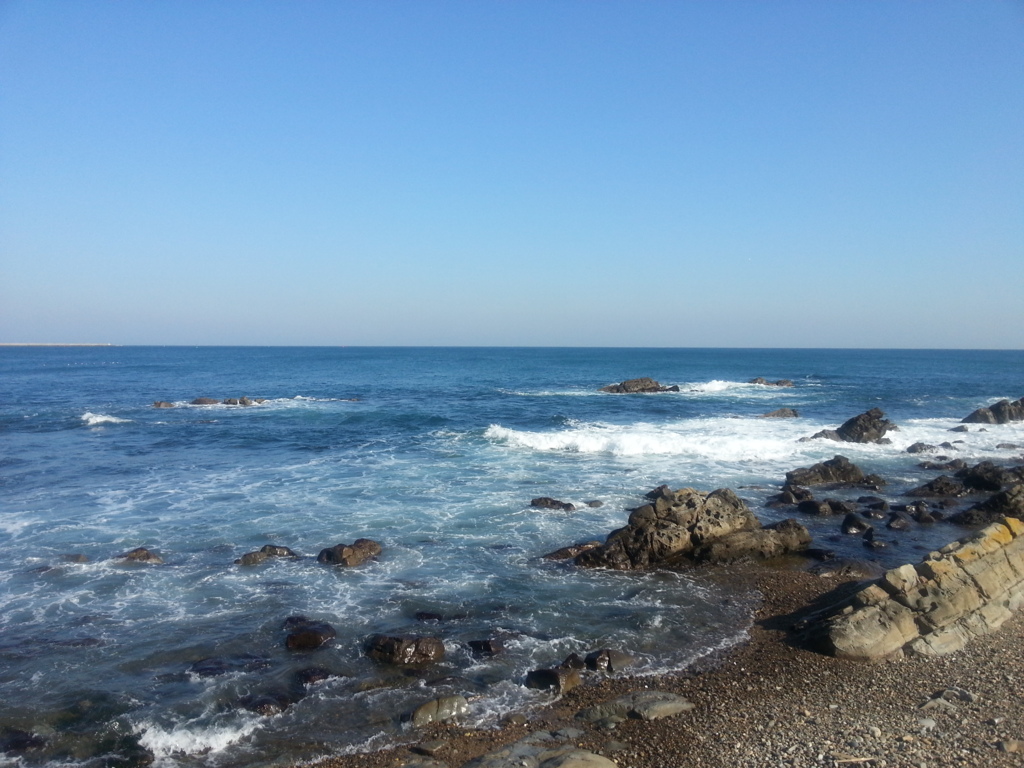 海