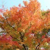 渓石園05