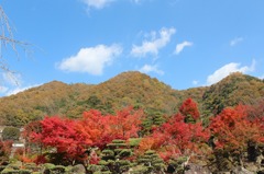 渓石園02