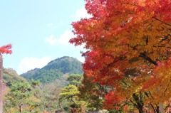 渓石園07