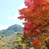 渓石園07