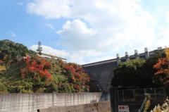 渓石園06
