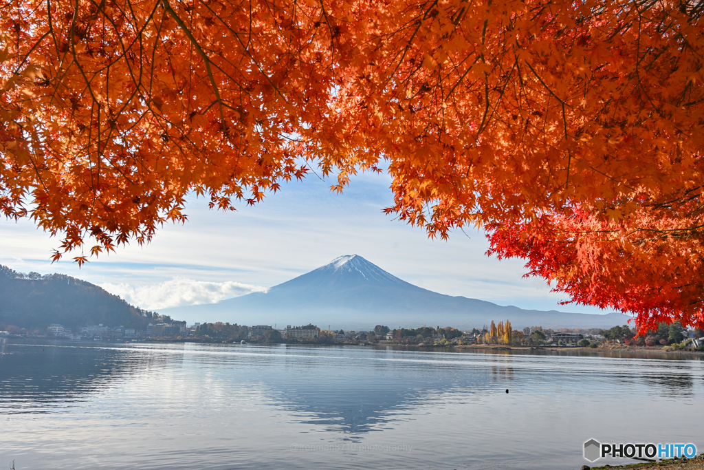 鮮やかモミジの湖畔