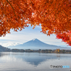 鮮やかモミジの湖畔