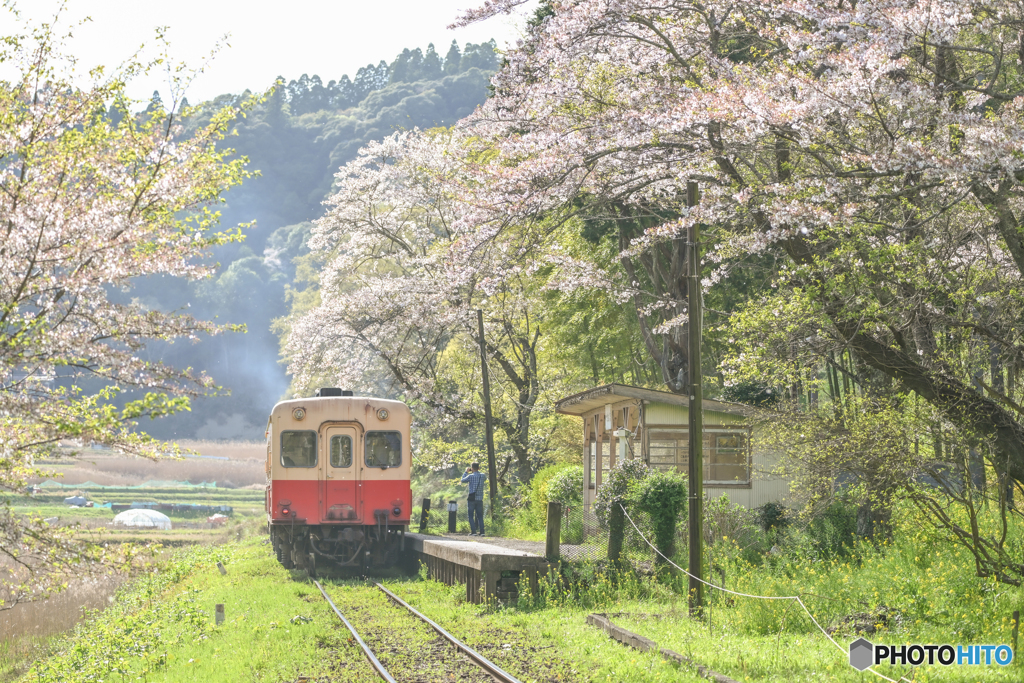 桜咲く駅にて