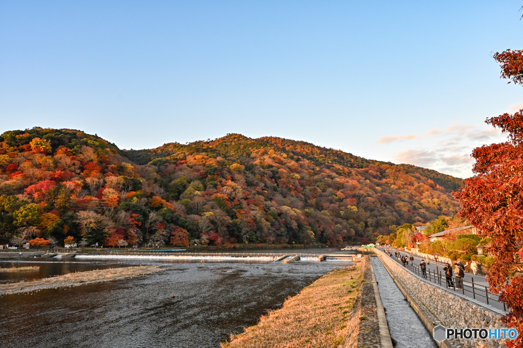 紅葉ピークの嵐山