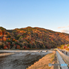 紅葉ピークの嵐山