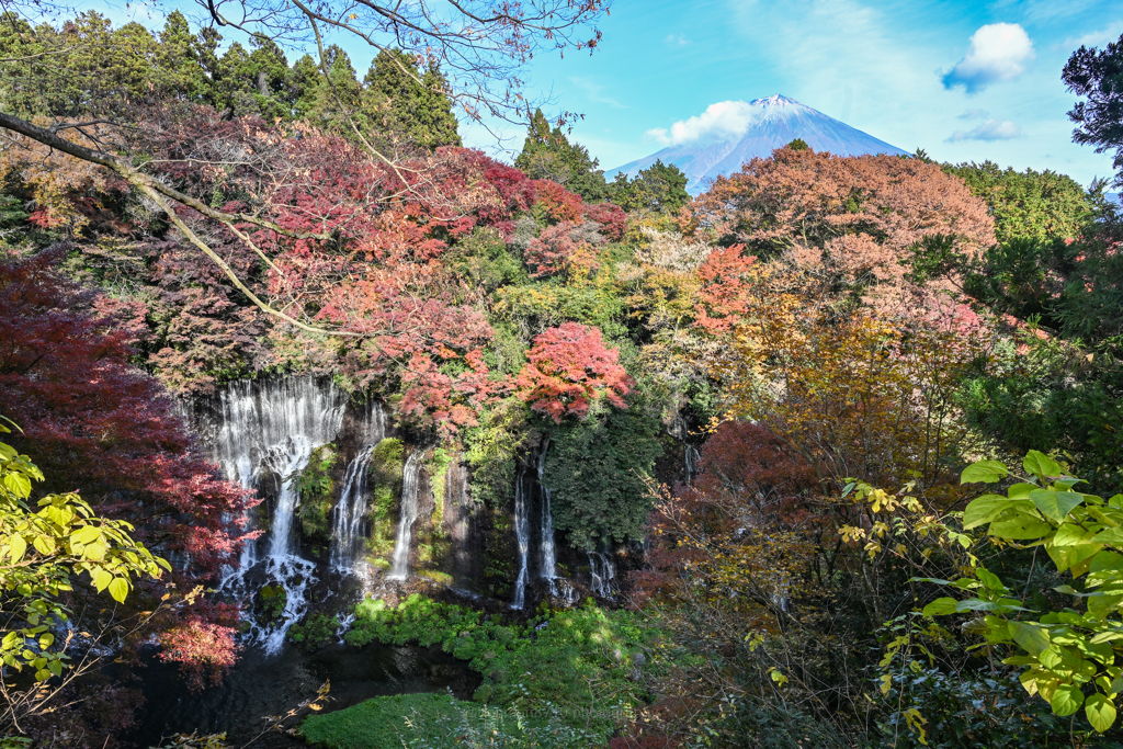 紅葉！白糸の滝