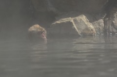 いいお湯♪