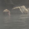 いいお湯♪