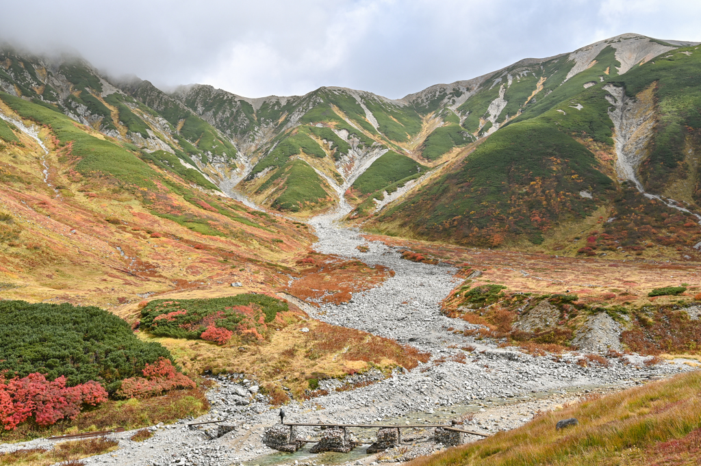 立山の紅葉　