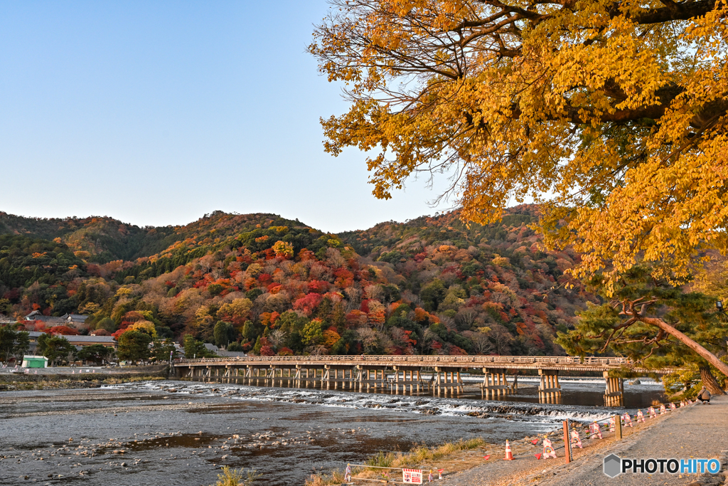 彩りの渡月橋
