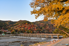 彩りの渡月橋