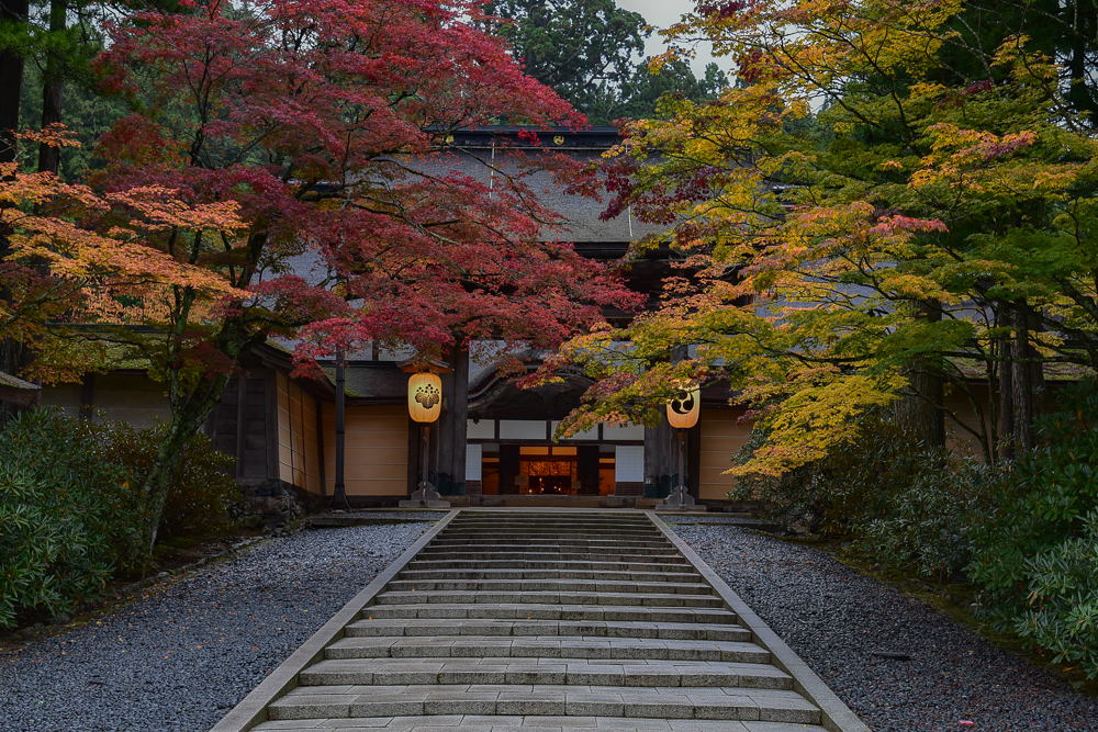 高野の朝