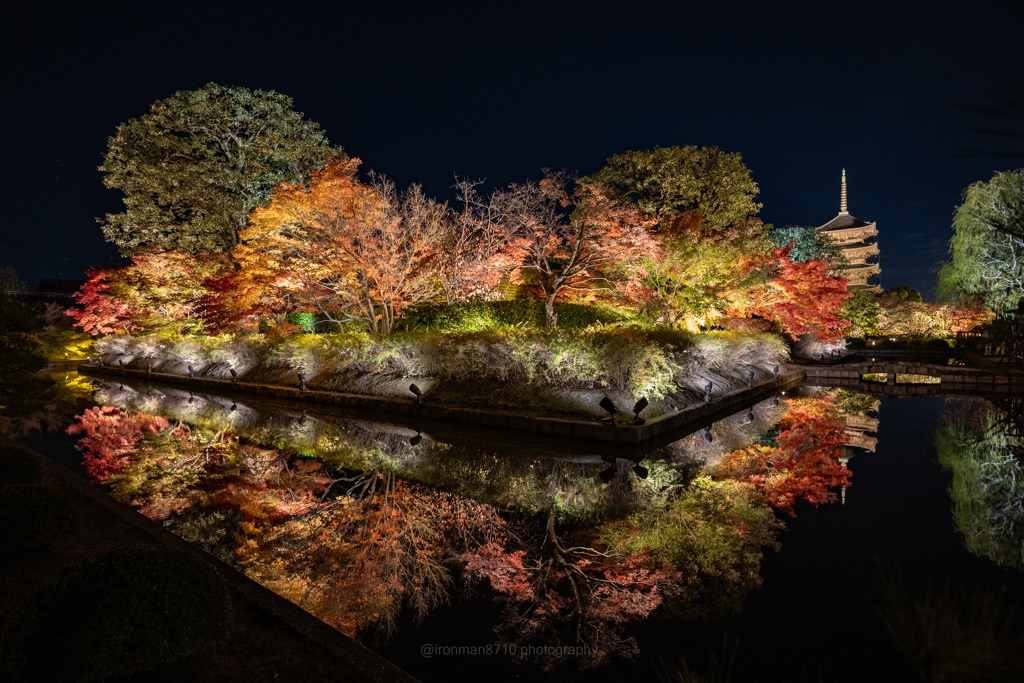 東寺紅葉ライトアップ①