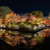 東寺紅葉ライトアップ①