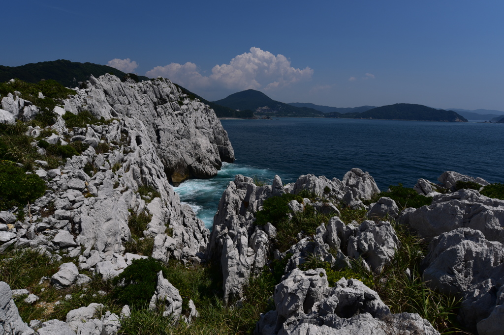 夏の絶景、白崎海洋公園