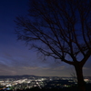 若草山からの夜景