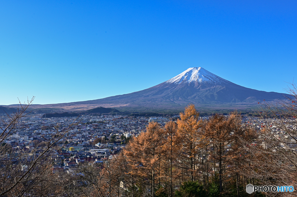 晩秋の富士①