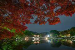 奈良公園・夜の浮見堂