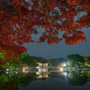 奈良公園・夜の浮見堂