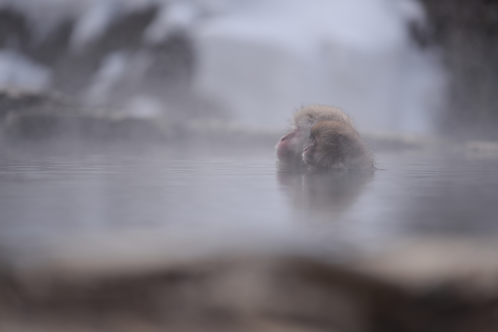 いい湯だな♪