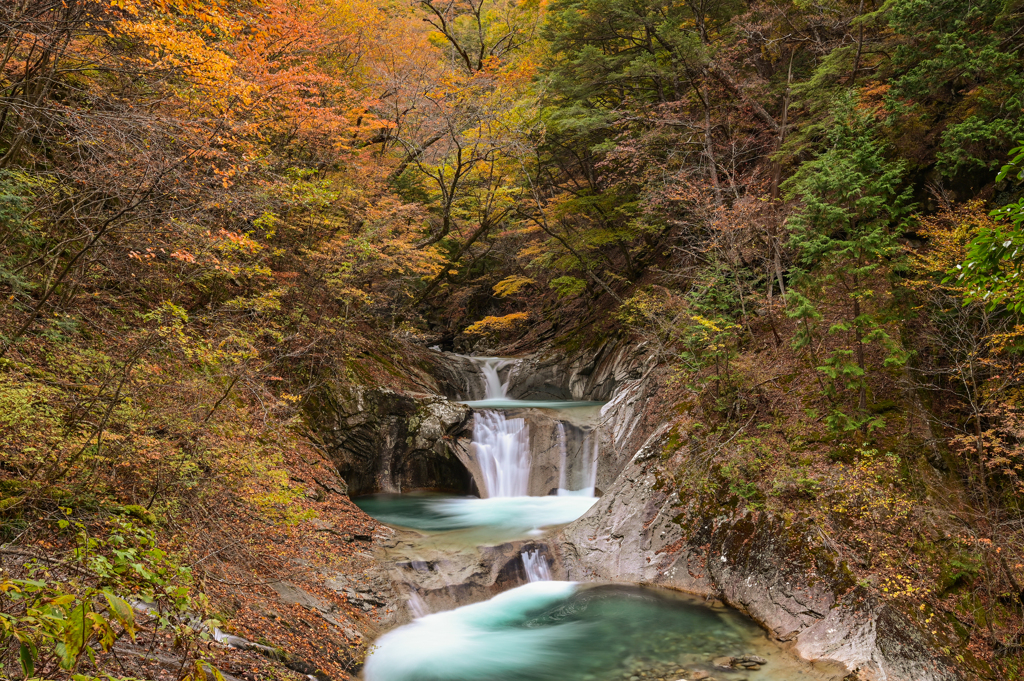西沢渓谷・紅葉