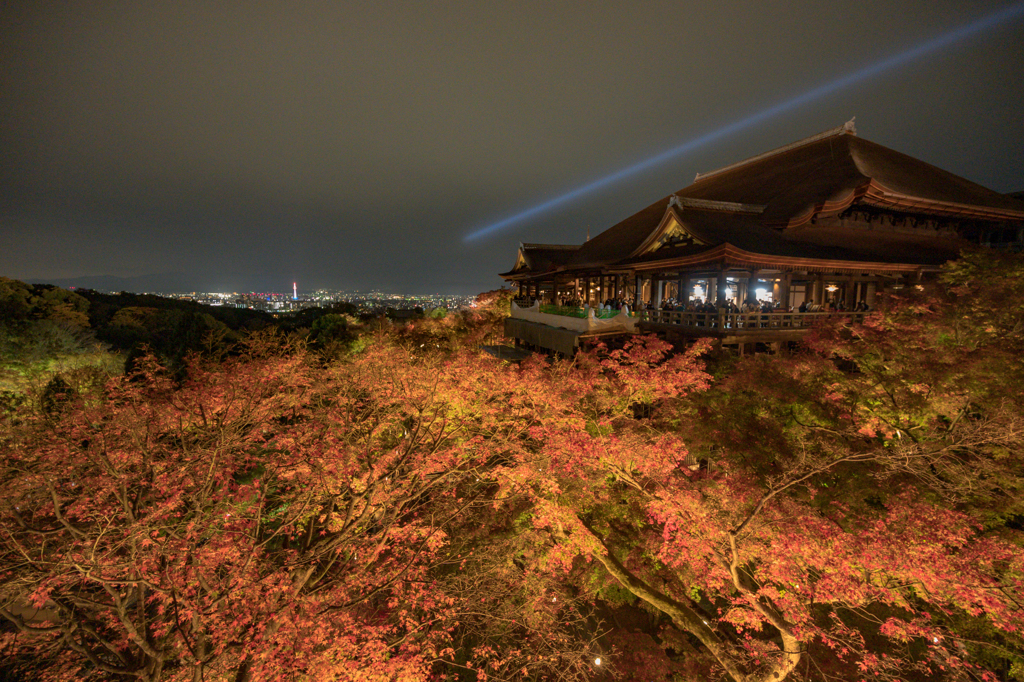 京都清水寺夜間参拝②