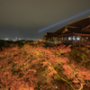 京都清水寺夜間参拝②