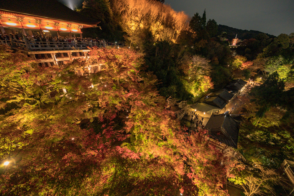 京都清水寺夜間参拝①