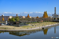 美しいスタバの秋