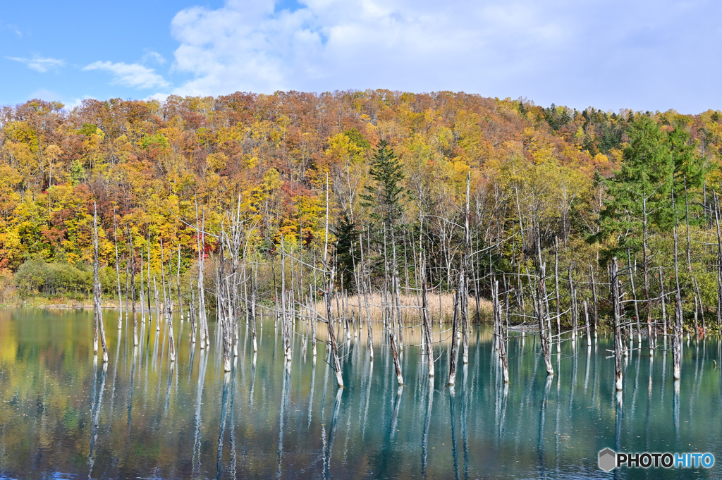 秋色に染まる青い池２