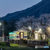 桜咲く駅