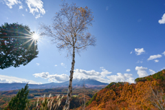 御岳山の紅葉４