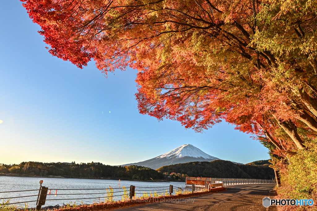 富士と紅葉