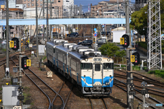 後、何年見られるか？