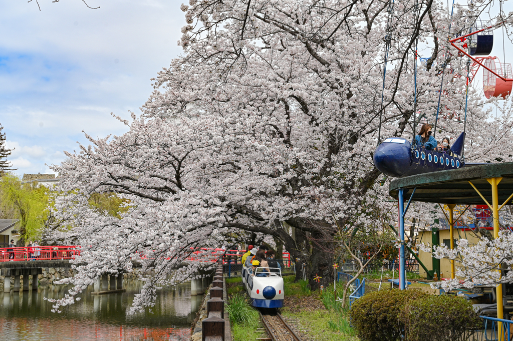 春の遊園地