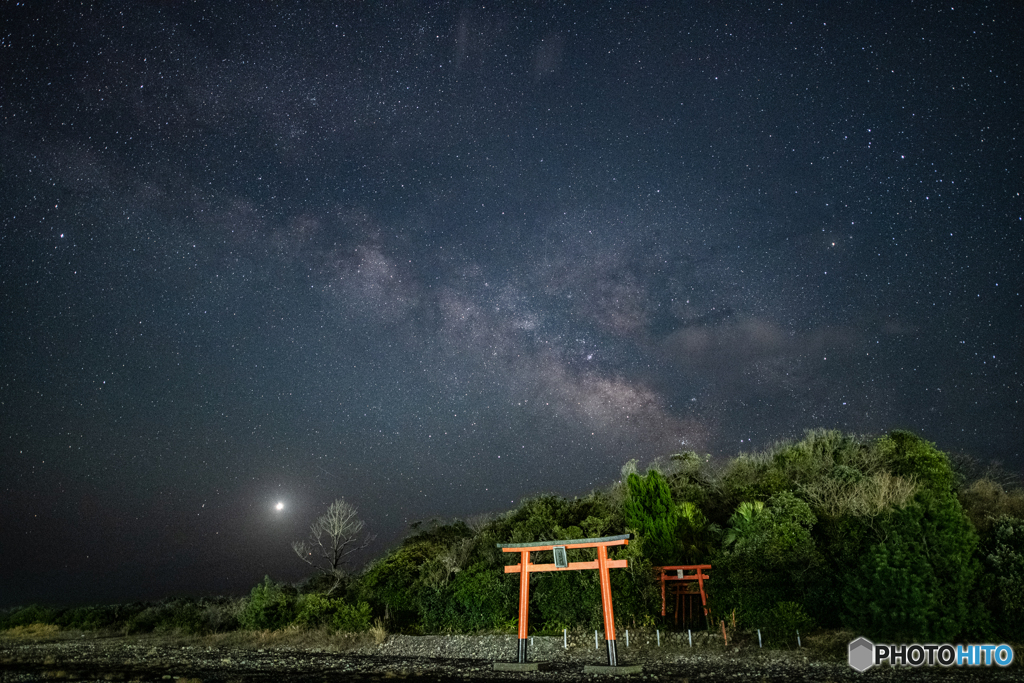 鳥居の背に