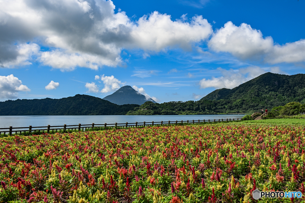 夏の開聞岳