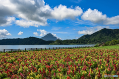 夏の開聞岳