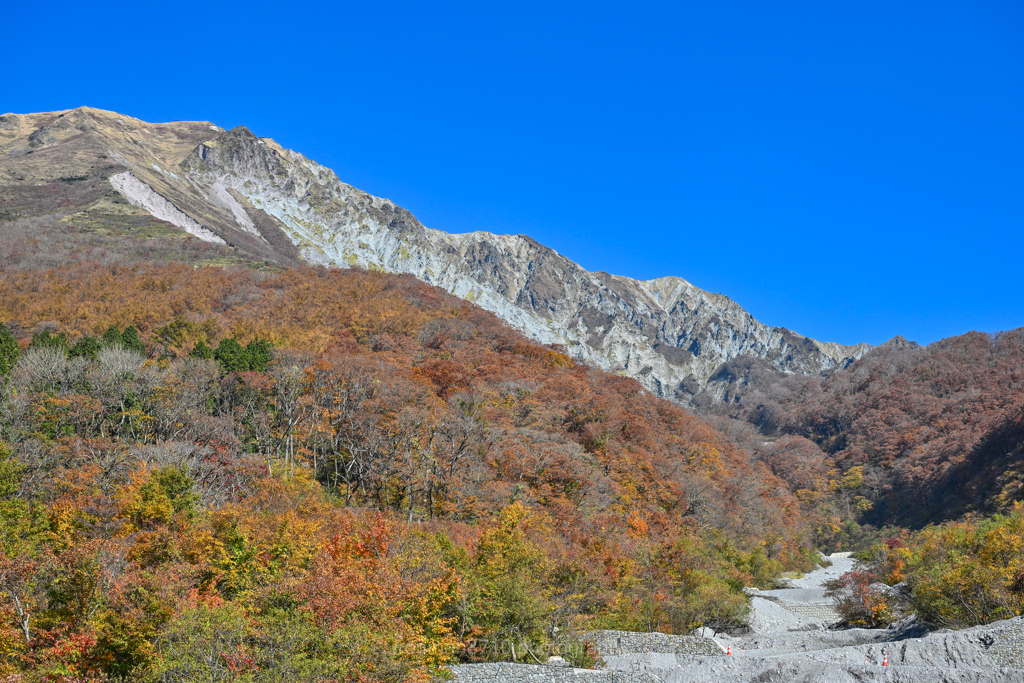 大山の秋　２