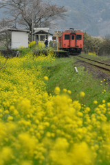 春のいすみ鉄道、３