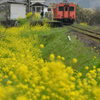 春のいすみ鉄道、３