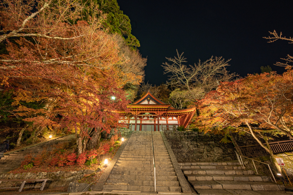 談山神社・紅葉ライトアップ③