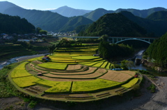 あらぎ島の棚田