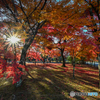 紅い庭