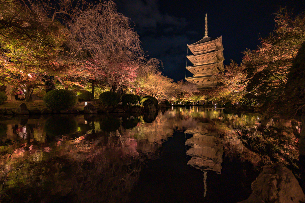 東寺紅葉ライトアップ②