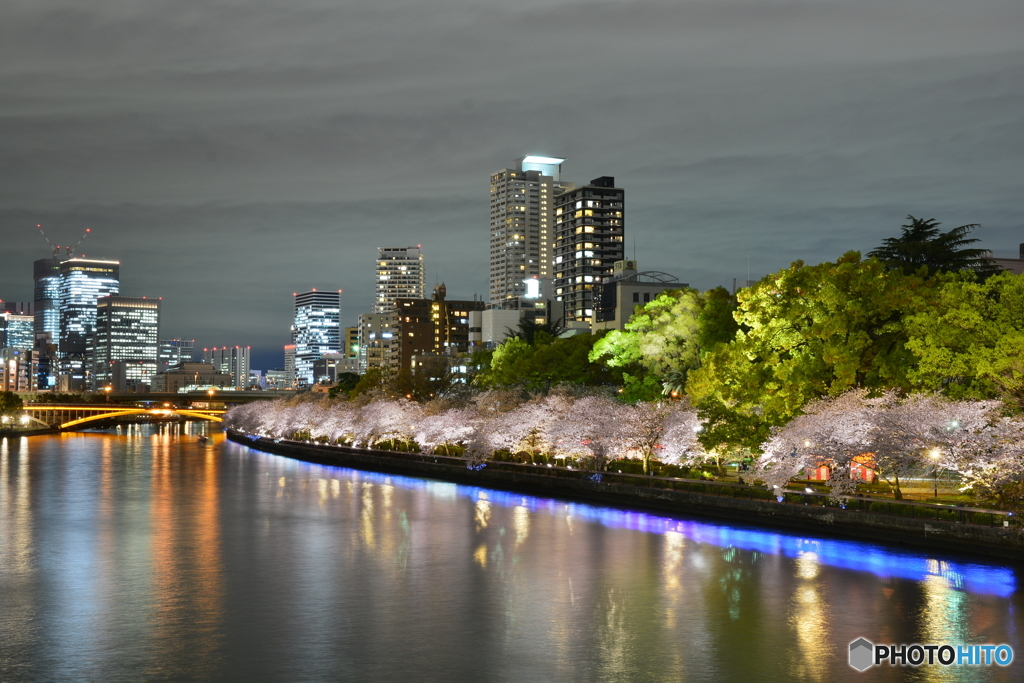 川面の夜桜