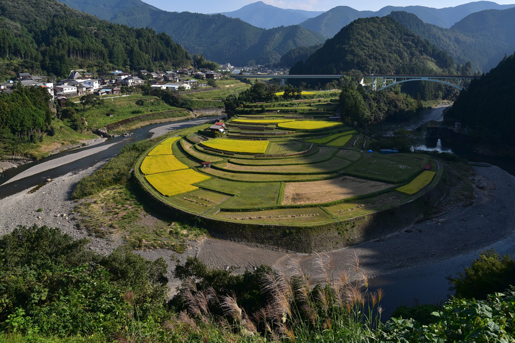 秋のあらぎ島