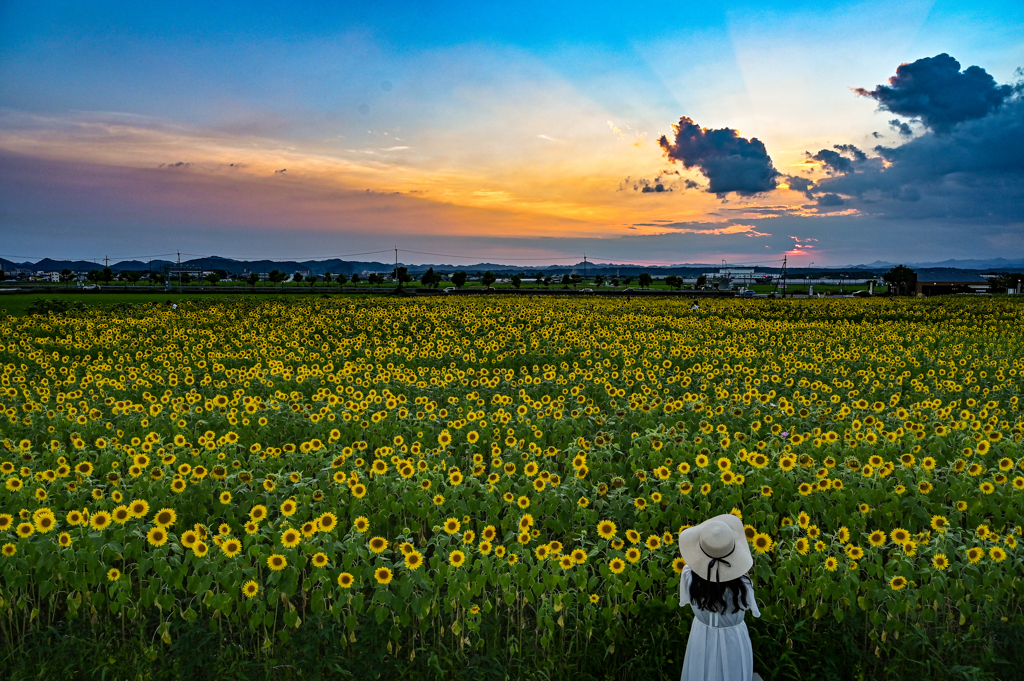 夏の終わり